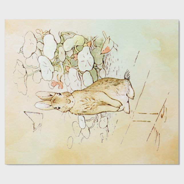 Peter Rabbit  3 Wrapping Paper (Flat)