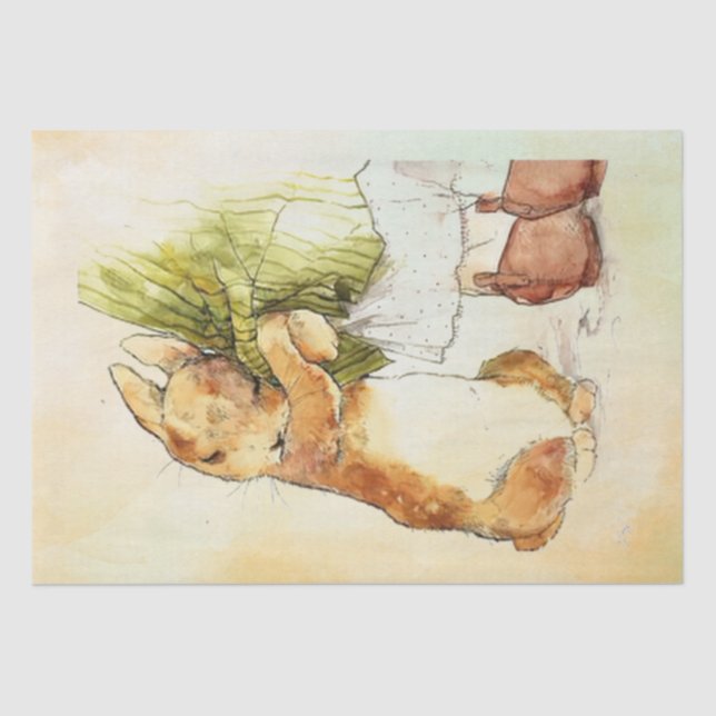 Peter Rabbit 9Tissue Paper (Front)