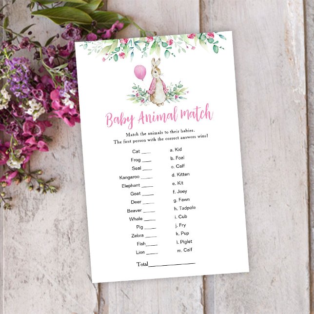 Peter Rabbit Baby Animal Match Game (Creator Uploaded)