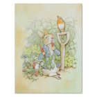 Peter Rabbit (carrot) Tissue Paper