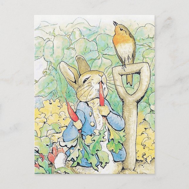 “Peter Rabbit Eats a Carrot” by Beatrix Potter Postcard (Front)