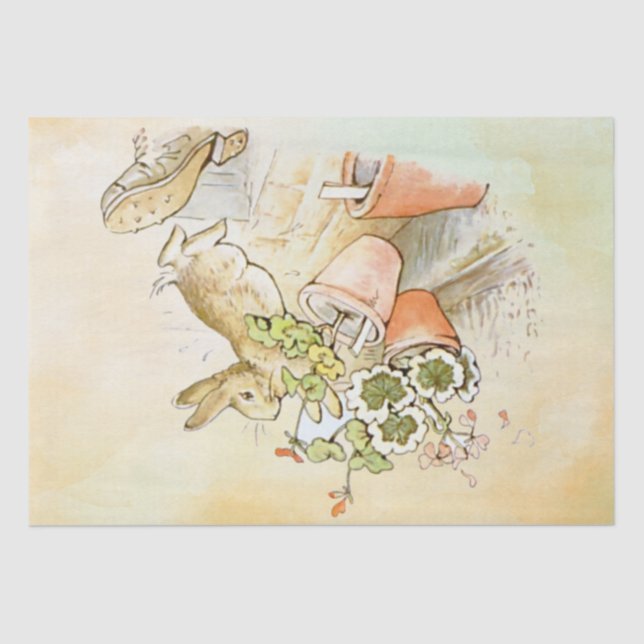 Peter Rabbit (shoe) Tissue Paper (Front)