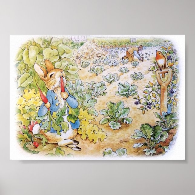 Peter the Rabbit Eating Carrots Poster (Front)