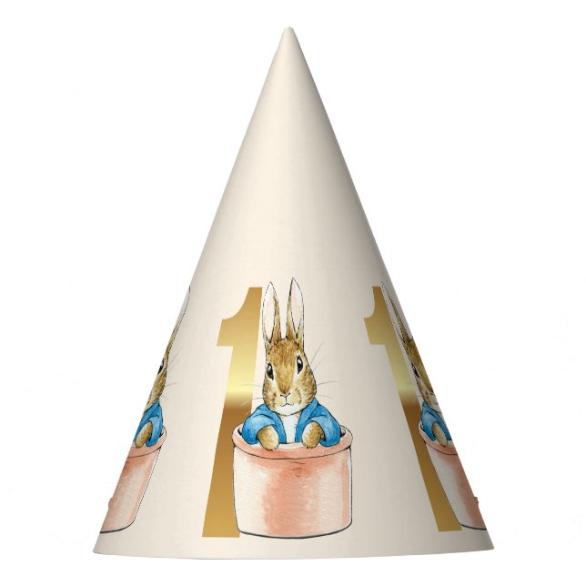Peter the Rabbit First birthday Party Hat (Front)