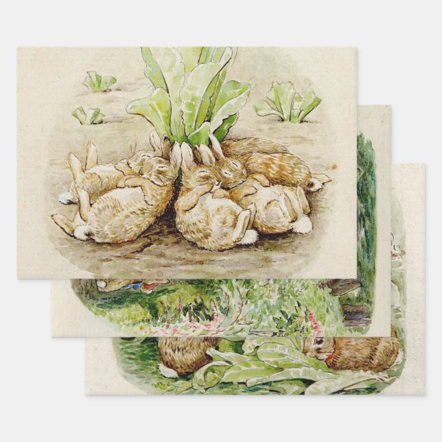 Peter the Rabbit Garden Baby Shower Wrapping Paper Sheet (Set)