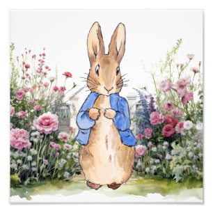 Peter the Rabbit in his garden No 2 Photo Print
