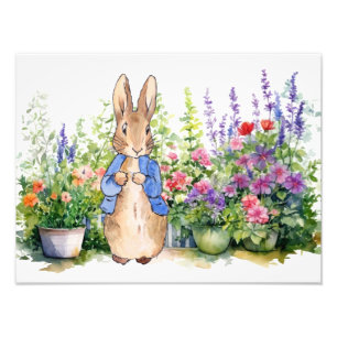 Peter the Rabbit in his Garden Photo Print