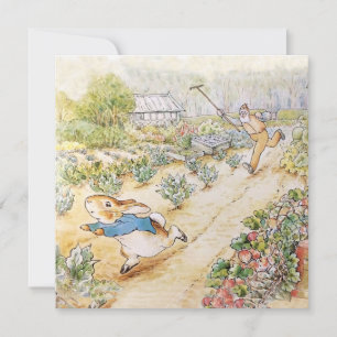 Peter the Rabbit in Mr Mc Gregor's Garden 
