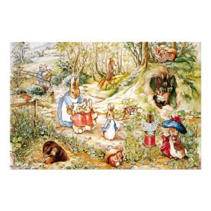 Peter the Rabbit Photo Print