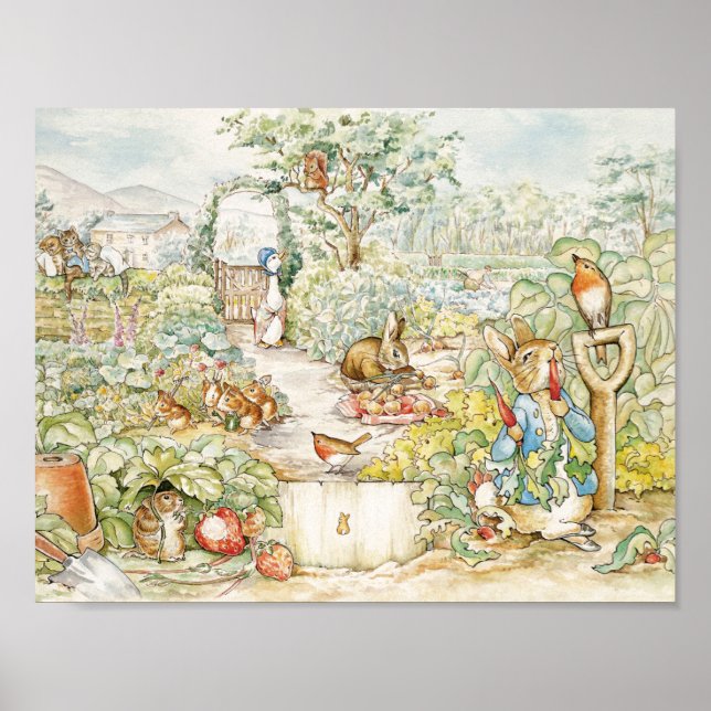 Peter the Rabbit  Poster (Front)