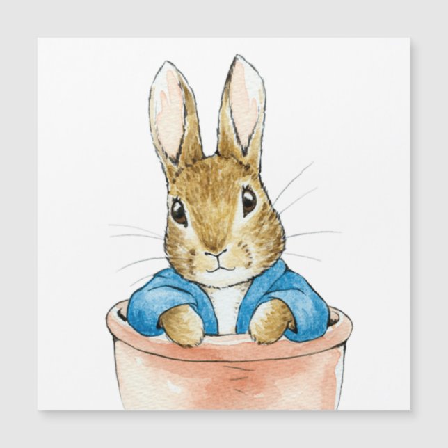 Peter the Rabbit Sitting in a Plant Pot Card (Front)