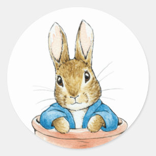 Peter the Rabbit Sitting in a Pot   Classic Round Sticker