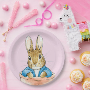 Peter the Rabbit Sitting in a Pot    Paper Plate