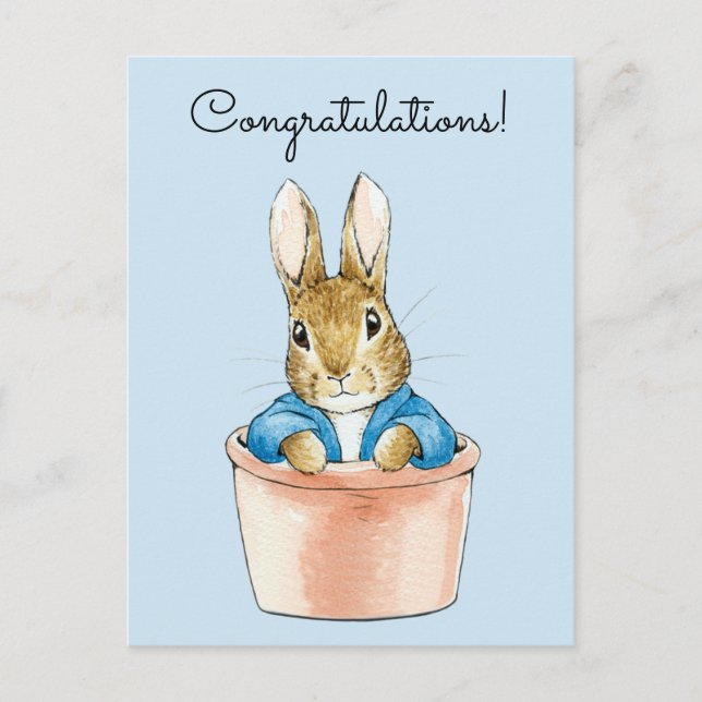 Peter the Rabbit Sitting in a Pot  Postcard (Front)