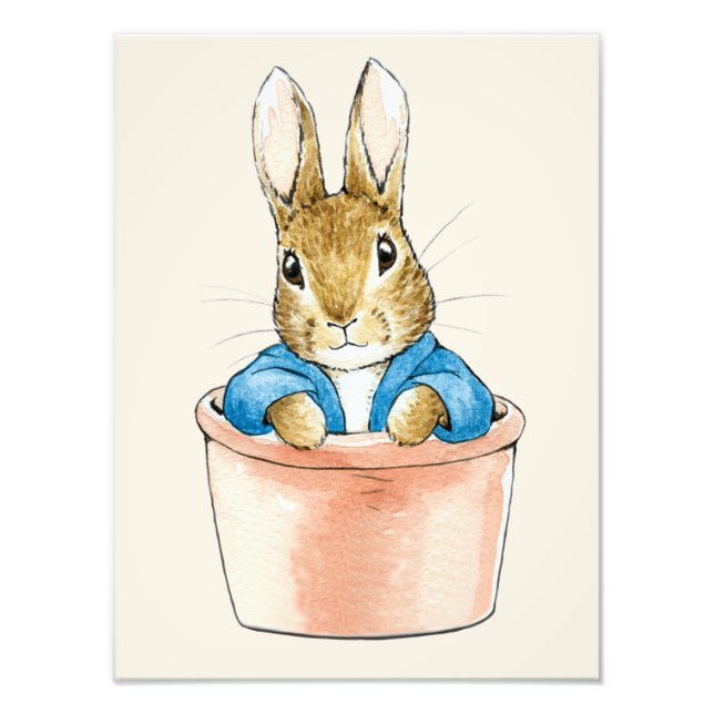 Peter the Rabbit Sitting in Plant Pot Photo Print (Front)