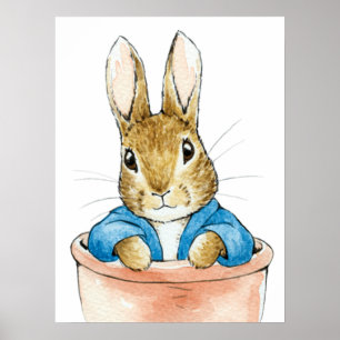 Peter the Rabbit Sitting in Plant Pot      Poster
