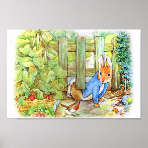 Peter the Rabbit Sneaking into Mc Gregor's Vegie G Poster