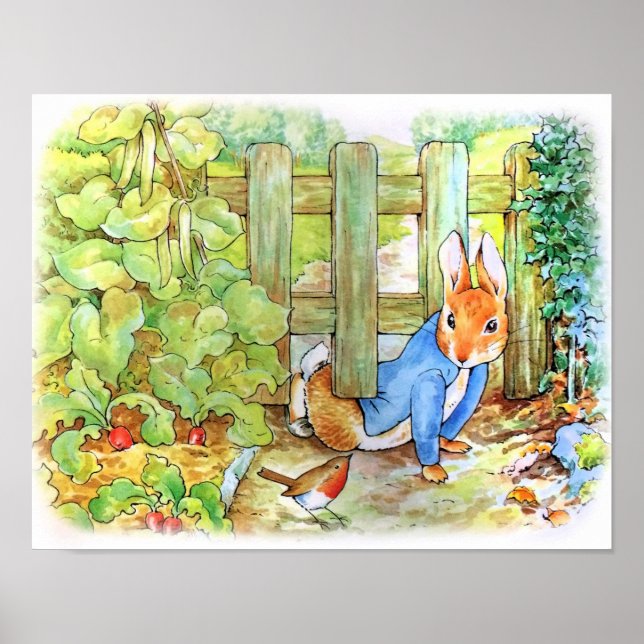 Peter the Rabbit Sneaking into Mc Gregor's Vegie  Poster (Front)