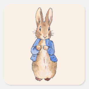 Peter the Rabbit Square Sticker