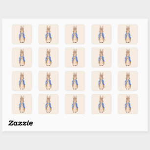 Peter the Rabbit Square Sticker