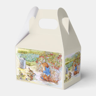 Peter the Rabbit Tumbling in Vegie Patch Favour Box
