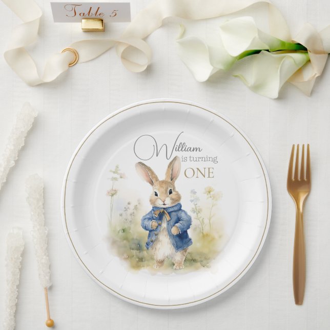 Peter The Rabbit Watercolor Birthday Paper Plate (Wedding)