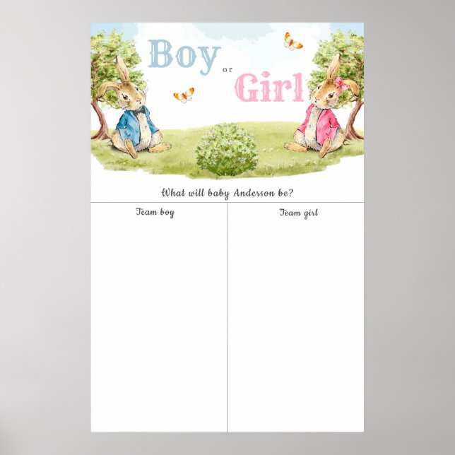 Peter The Rebbit Boy or Girl Gender Reveal Voting Poster (Front)