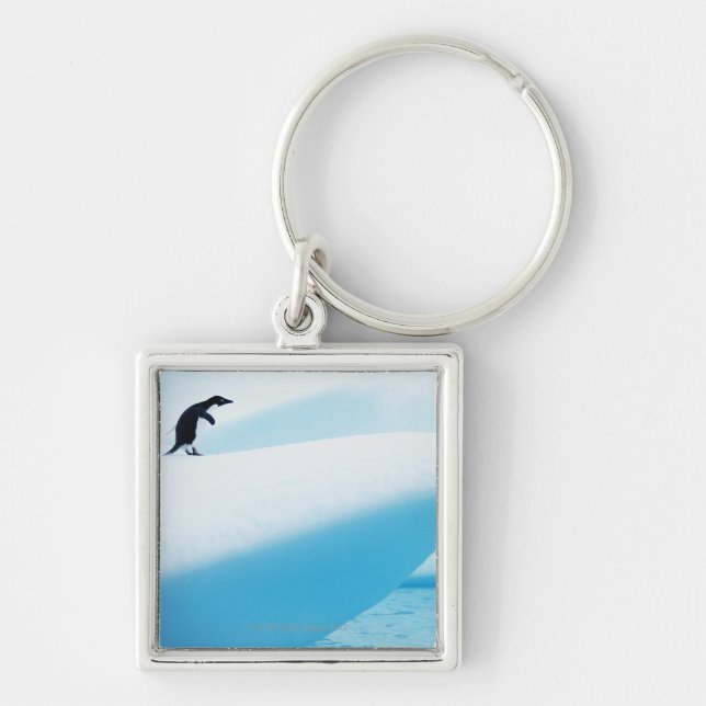 Petermann Island, Antarctica Key Ring (Front)