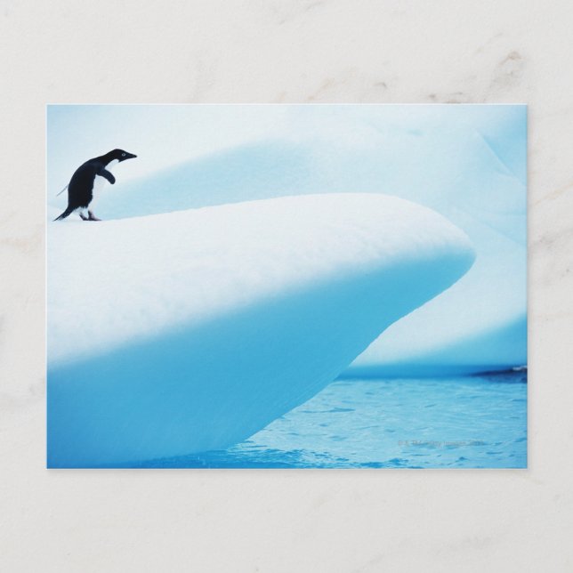 Petermann Island, Antarctica Postcard (Front)