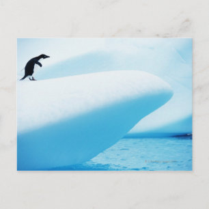 Petermann Island, Antarctica Postcard