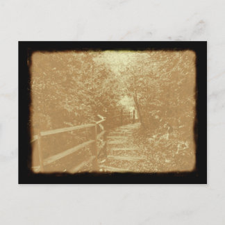 Peterson Park, Northport, Michigan - Postcard