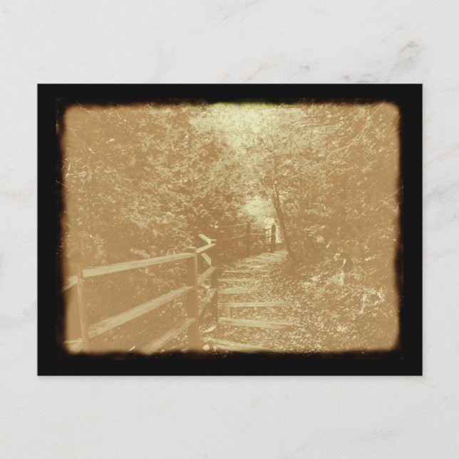 Peterson Park, Northport, Michigan - Postcard (Front)