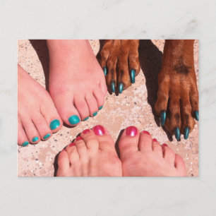 Peticure - Pedicure Spa Day Postcard