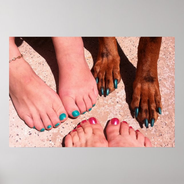 Peticure - Pedicure Spa Day Poster (Front)