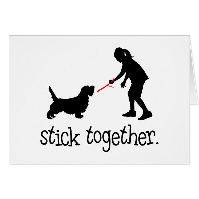 Petit Basset Griffon Vendeen (Front Horizontal)