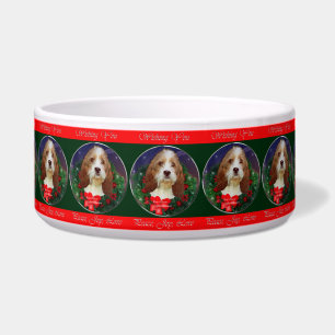 Petit Basset Griffon Vendeen Christmas 