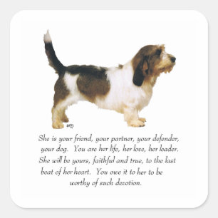 Petit Basset Griffon Vendeen Female Square Sticker