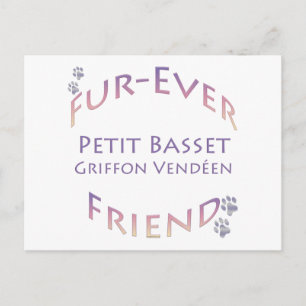 Petit Basset Griffon Vendeen Fur-ever Friend Postcard