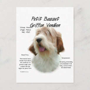 Petit Basset Griffon Vendeen History Design Postcard