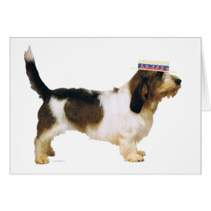 Petit Basset Griffon Vendeen Patriot