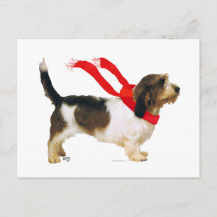 Petit Basset Griffon Vendeen Postcard