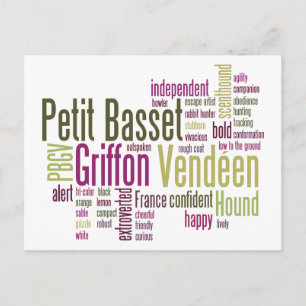 Petit Basset Griffon Vendeen Postcard