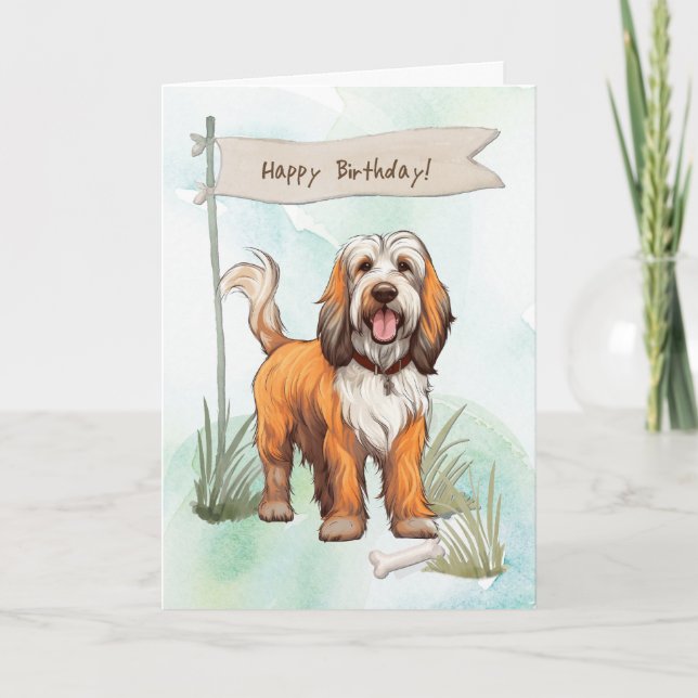 Petit Bassett Griffon Vendéen Under Birthday Sign Card (Front)