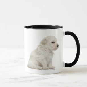 Petit chien lion or Little Lion Dog puppy Mug