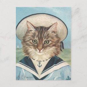 Petit garçon mer chat postcard