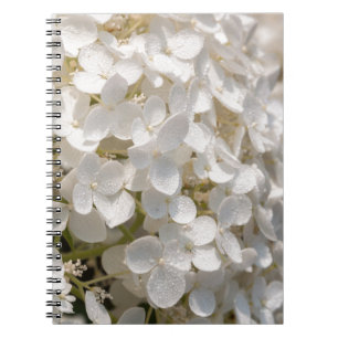 Petites fleurs blanches notebook
