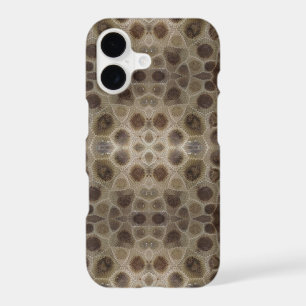 Petoskey Stone