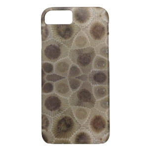 Petoskey Stone iPhone 8/7 Case
