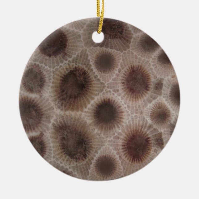Petoskey Stone Ceramic Ornament (Front)