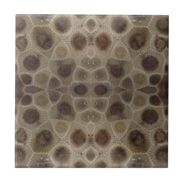 Petoskey Stone Ceramic Tile (Front)